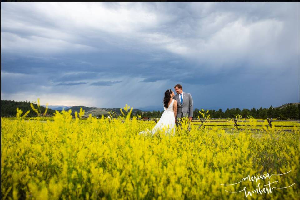 Mountain view ceremony