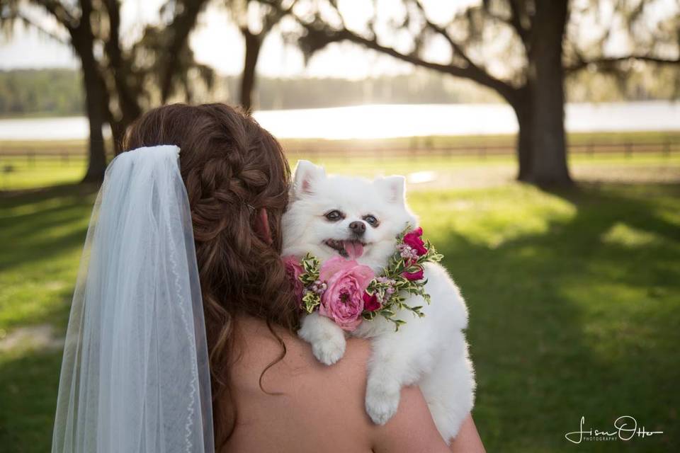 Covington Farm Weddings