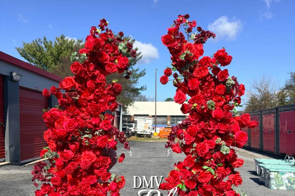 DMV bloom