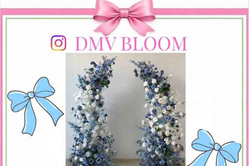 DMV BLOOM
