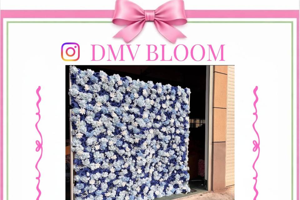 DMV BLOOM