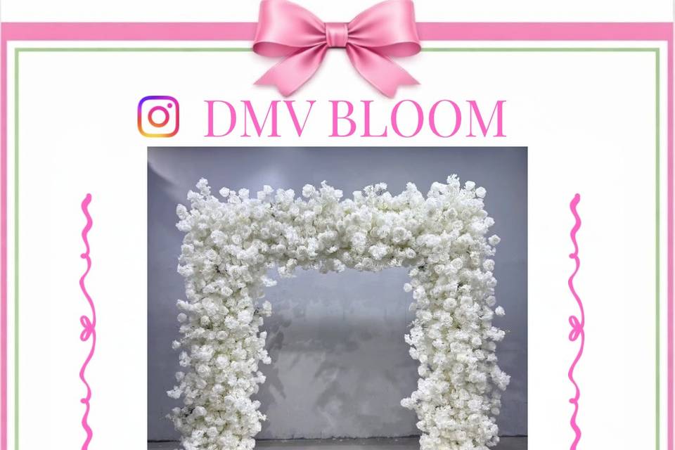DMV BLOOM