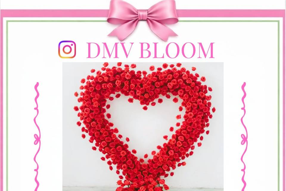 DMV BLOOM