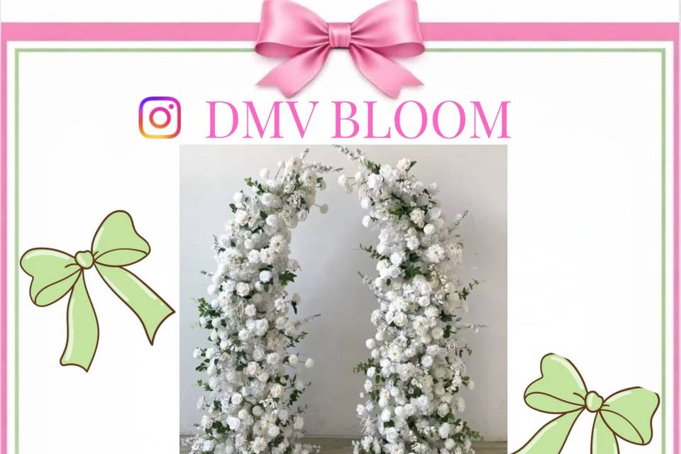 DMV BLOOM