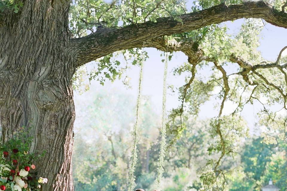 Couple under beautiful tree