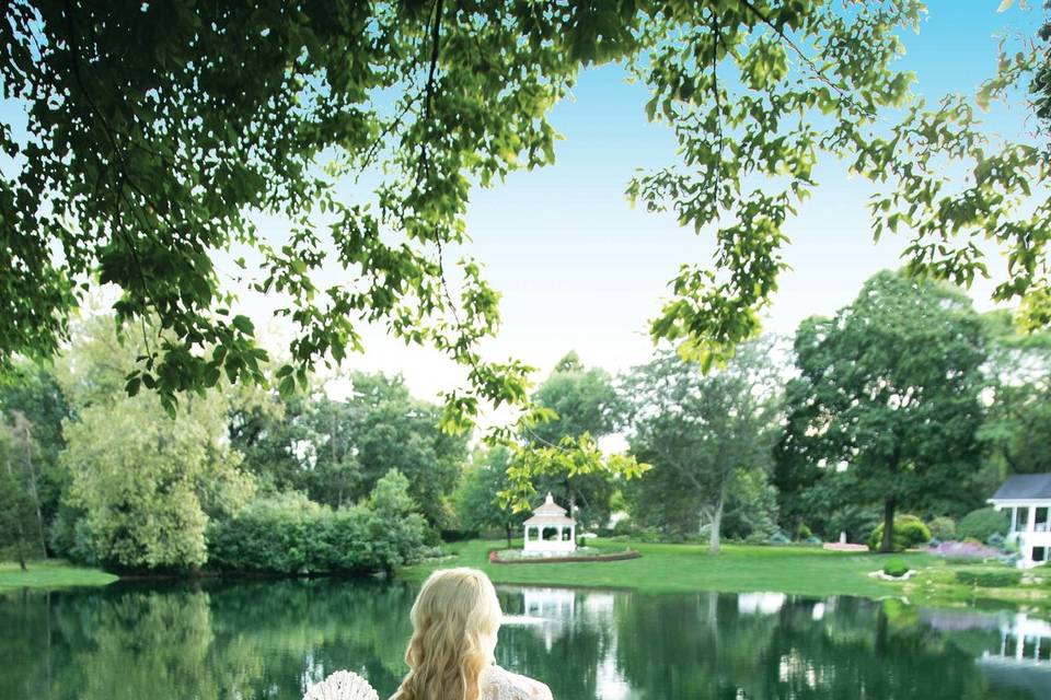 Overlooking the pond