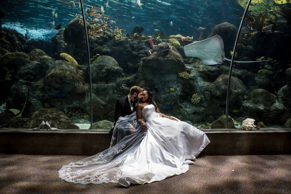 Romantic photo in aquarium