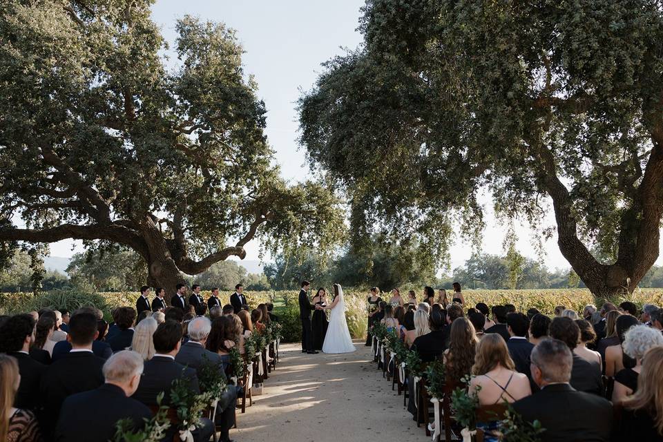 Vineyard Ceremony