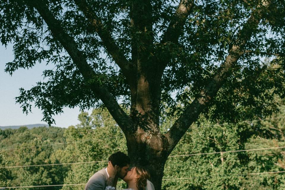 Backyard Wedding