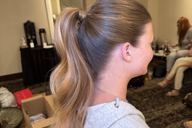 Sleek voluminous pony