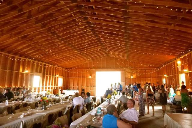 Y Knot Barn and Event Center