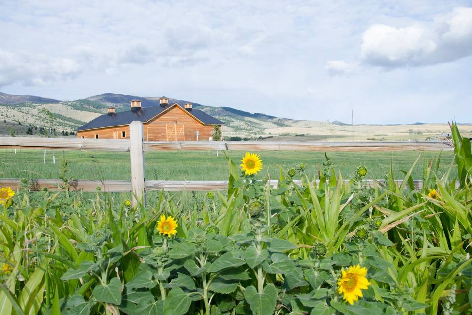 Exterior view of
Y Knot Barn and Event Center