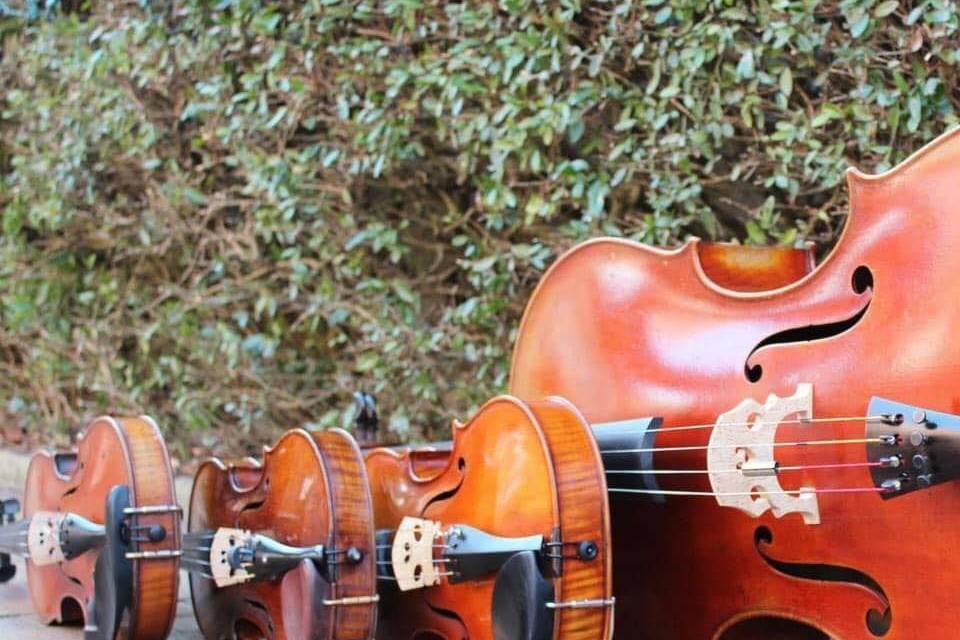 Crystal Coast Musicians