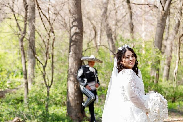 Amazing wedding celebration