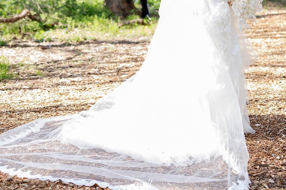 Amazing wedding celebration