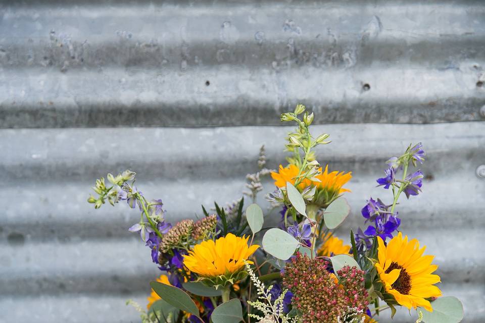 Sunflower Wildflowers