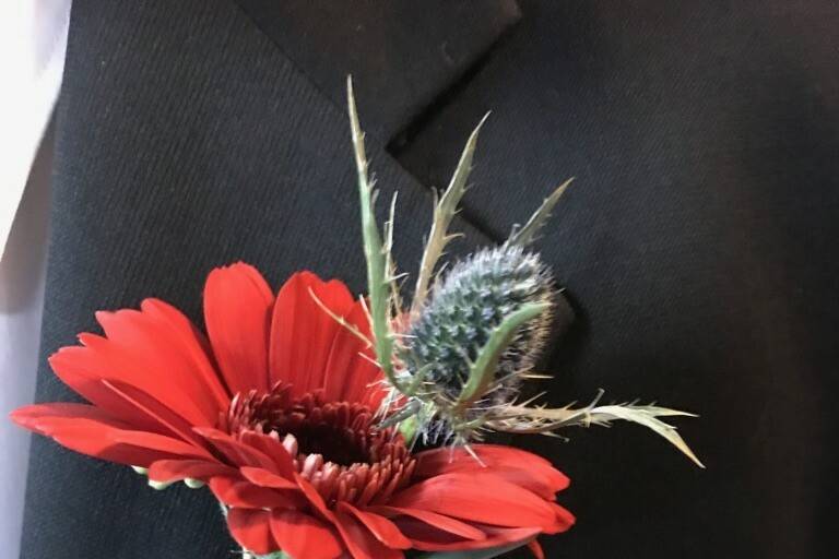 Red Gerbera & Thistle