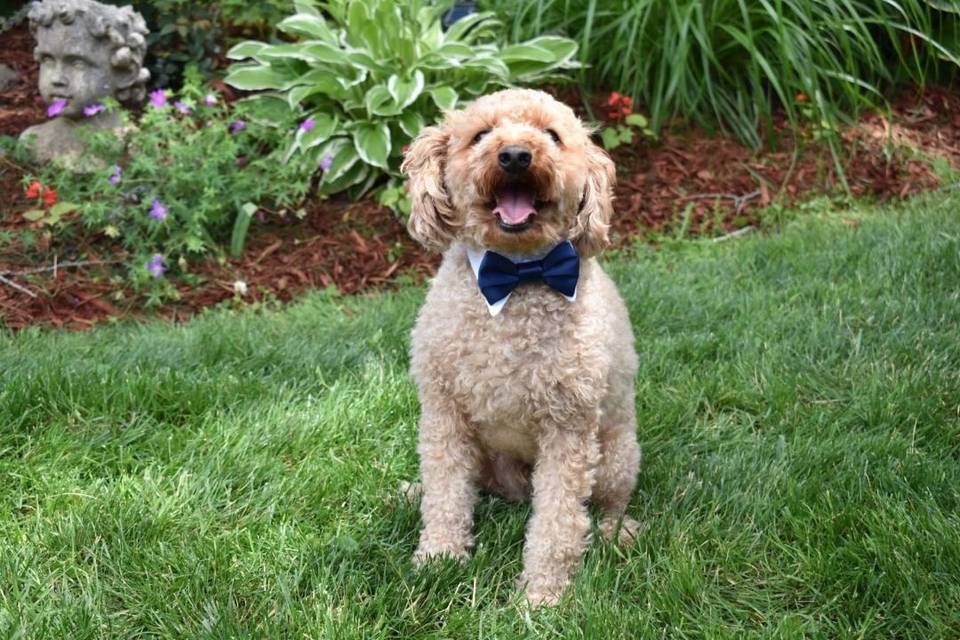 The Best Man!
