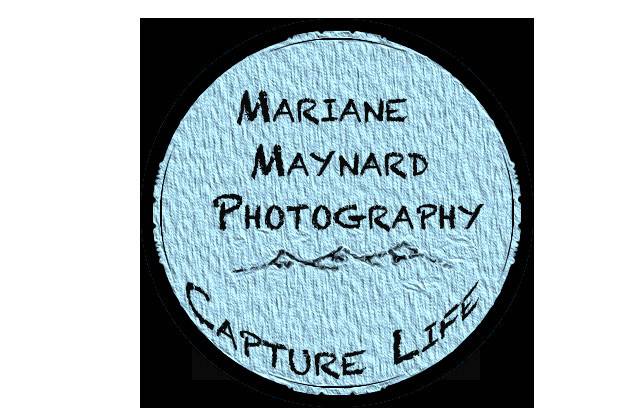 Mariane Maynard Photography
