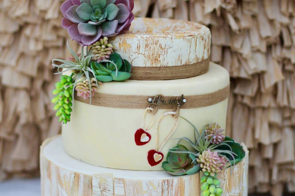 Boho Chic cake with succulents