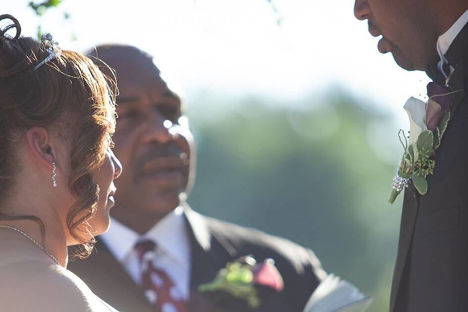 Velvet knot weddings