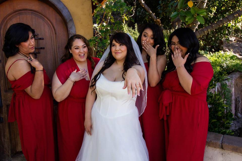 Velvet knot weddings
