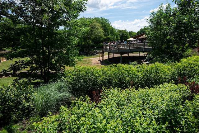 Cleveland Metroparks Zoo