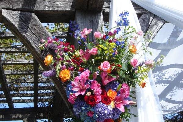 An Occasion Flowers