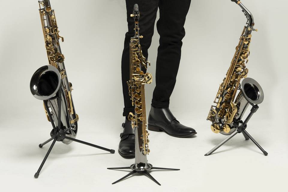 My 3 horns