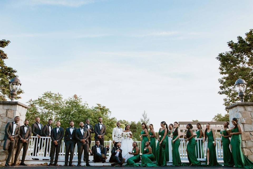 Large bridal party