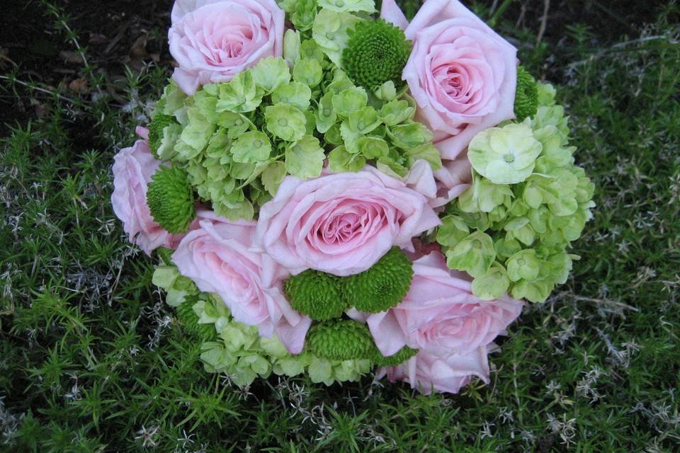 Pink rose and green hydrangea