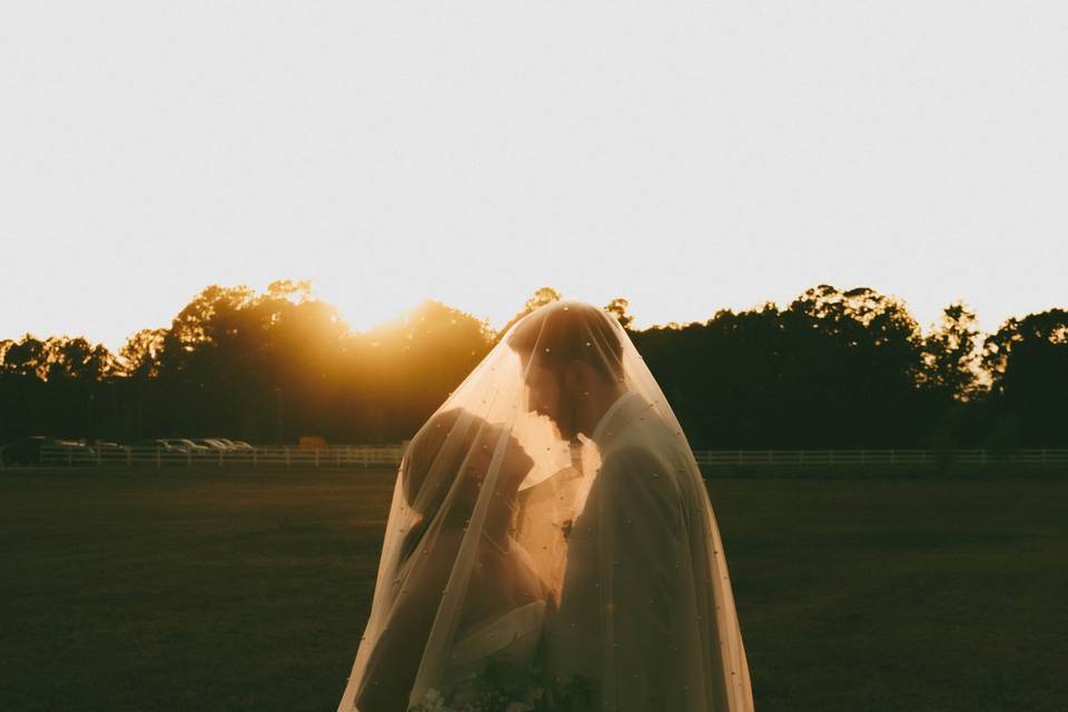 Golden hour photos