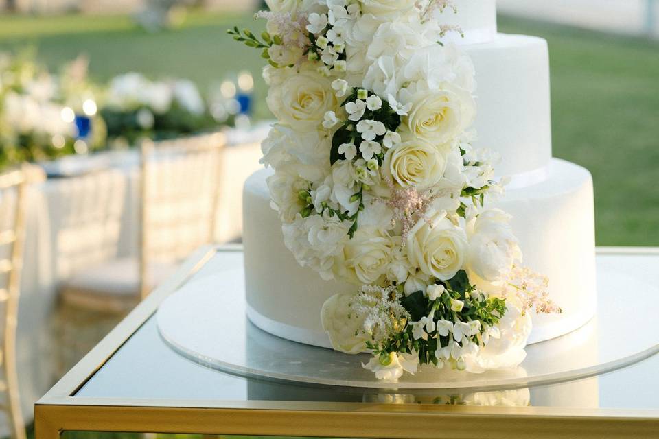 Wedding amongst olive trees