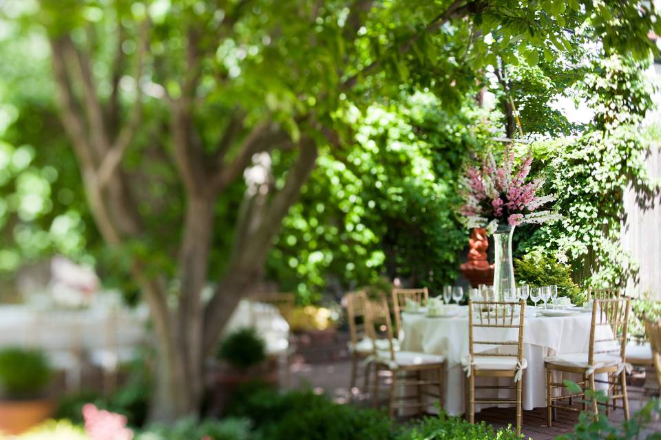Michel Events