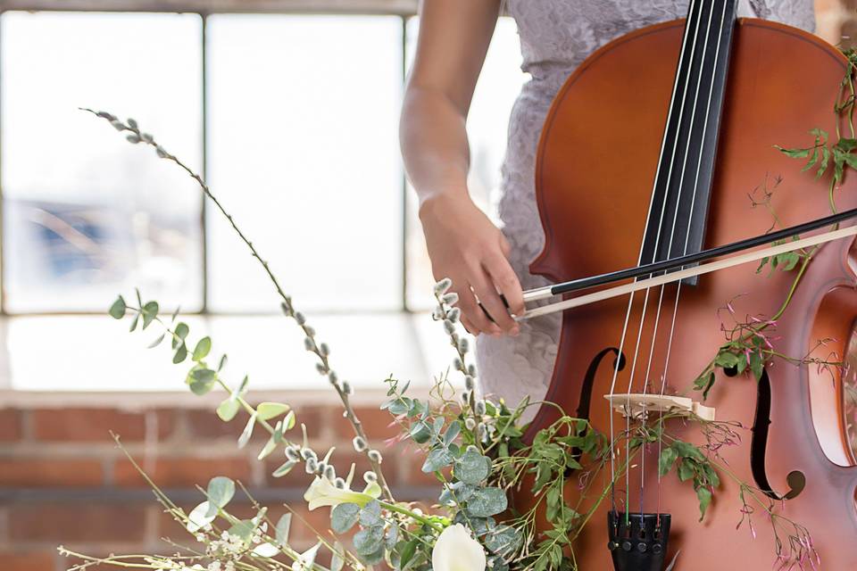 Floral Cello