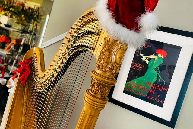Taylor Mills Krebs/ harpist