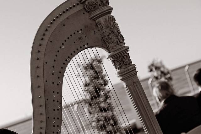 Taylor Mills Krebs/ harpist