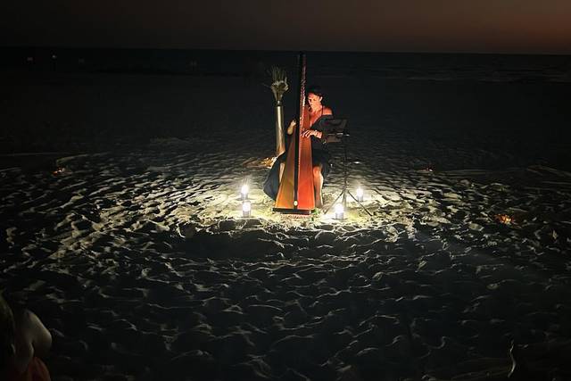 Taylor Mills Krebs/ harpist