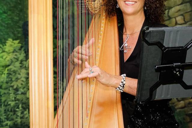 Taylor Mills Krebs/ harpist