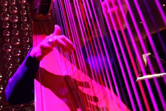 Taylor Mills Krebs/ harpist