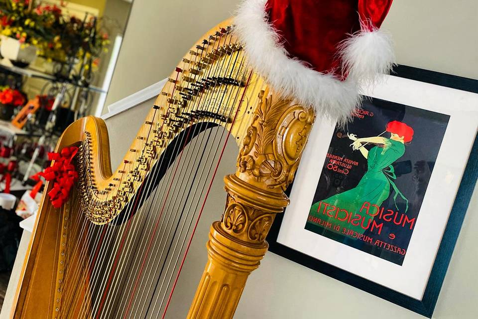 Taylor Mills Krebs/ harpist