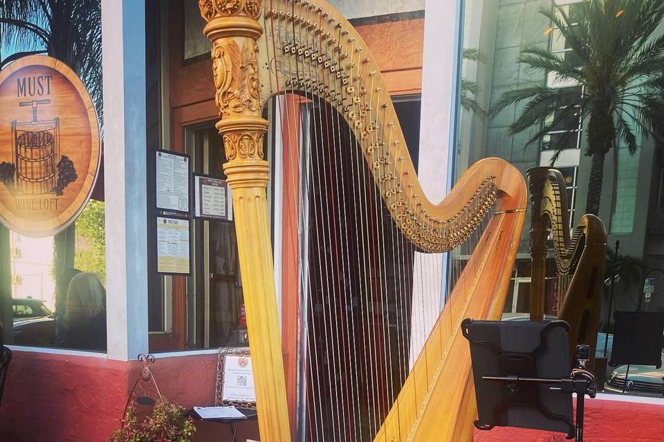 Taylor Mills Krebs/ harpist