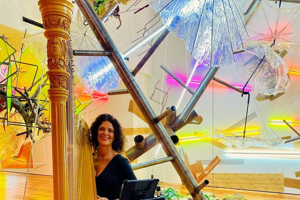 Taylor Mills Krebs/ harpist