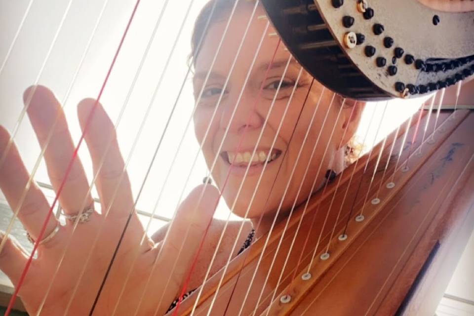 Taylor Mills Krebs/ harpist