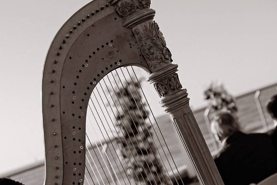 Taylor Mills Krebs/ harpist