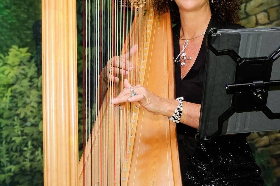 Taylor Mills Krebs/ harpist