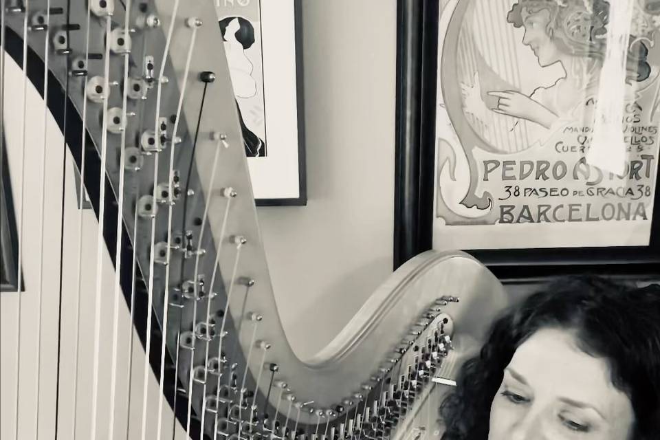 Taylor Mills Krebs/ harpist