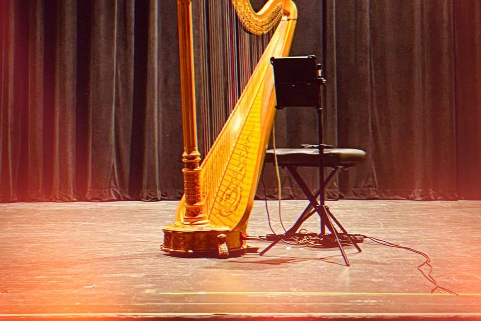 Taylor Mills Krebs/ harpist