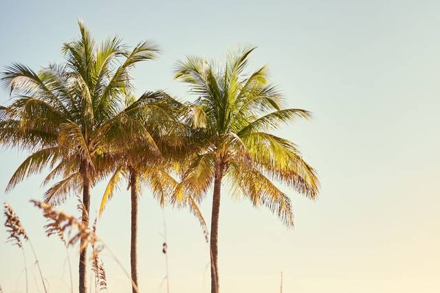 Number 12 Private Fort Lauderdale Beach Wedding.jpg