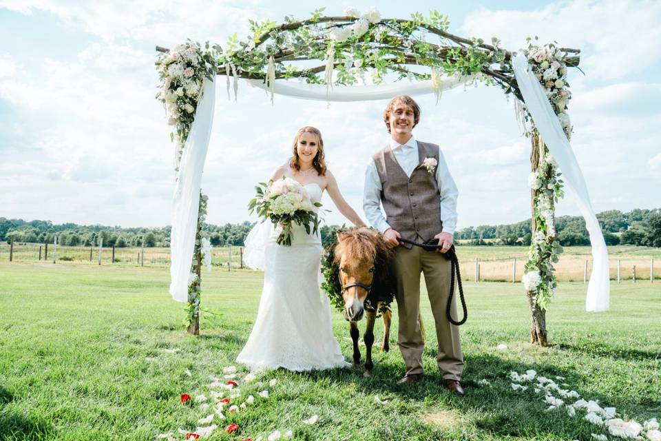 Flower wall rentals